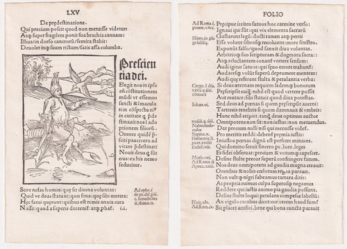 Gott vorsehung inkunabel - vorsehung,