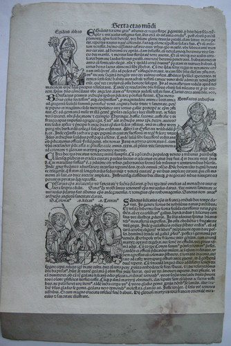 Inkunabelblätter zahlreiche - 6,