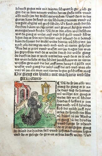 Hieronymus altväter leben - hieronymus,