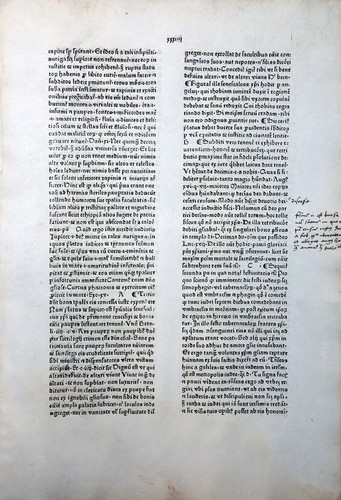 Gritsch quadragesimale - gritsch,