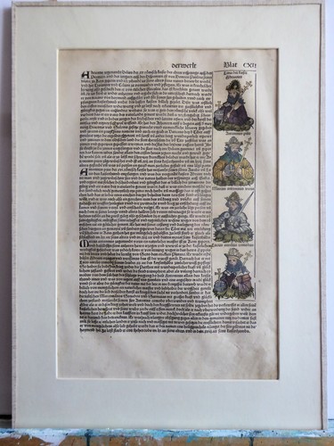Orig schedelsche - orig.,