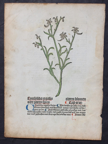 Inkunabel johannes - inkunabel,johannes, de