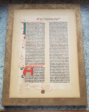 Bibeldruck Latein Text