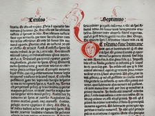 Großes Hoch-Dekoratives