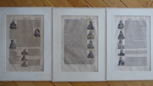 Orig schedelsche - x, orig.