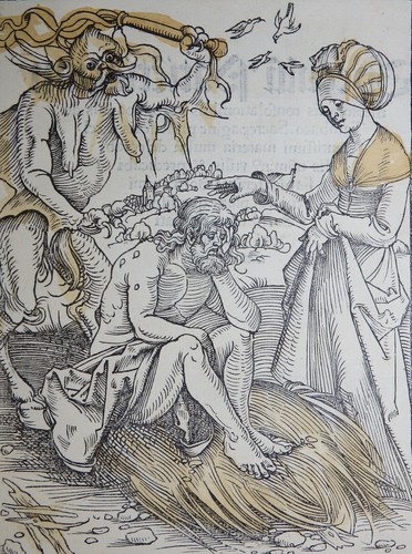 Medizin pinder dürer - dÜrer, syphilis