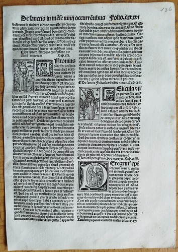 Antonius felicula original - antonius,