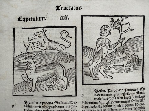 Satyr post inkunabel - -,
