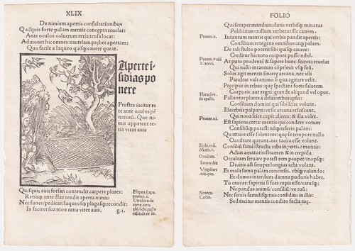 Vogelfänger inkunabel - vogelfänger,