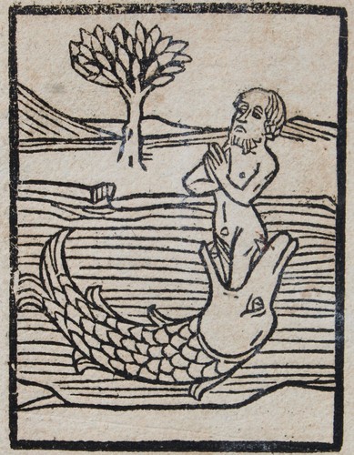 Inkunabel von der kinthait - inkunabel,von,